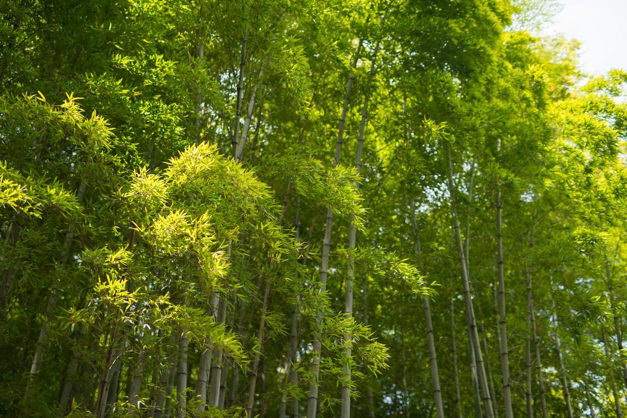 Apartmán Kyoto Chikuan Exteriér fotografie